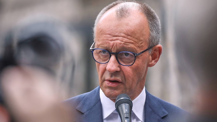 Friedrich Merz portrait