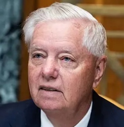 Lindsey Graham portrait
