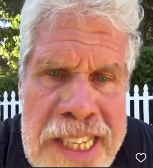 Ron Perlman portrait