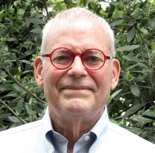 Steven Lipson portrait
