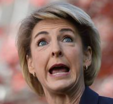 Michaelia Cash portrait