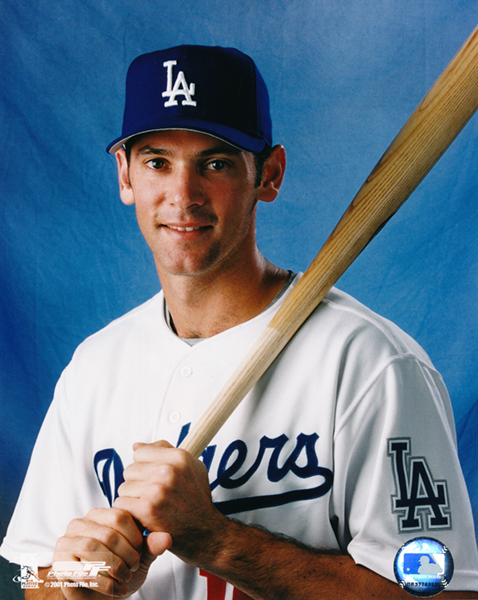Shawn Green portrait