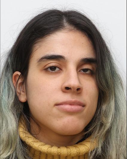 Roni Ohayon portrait