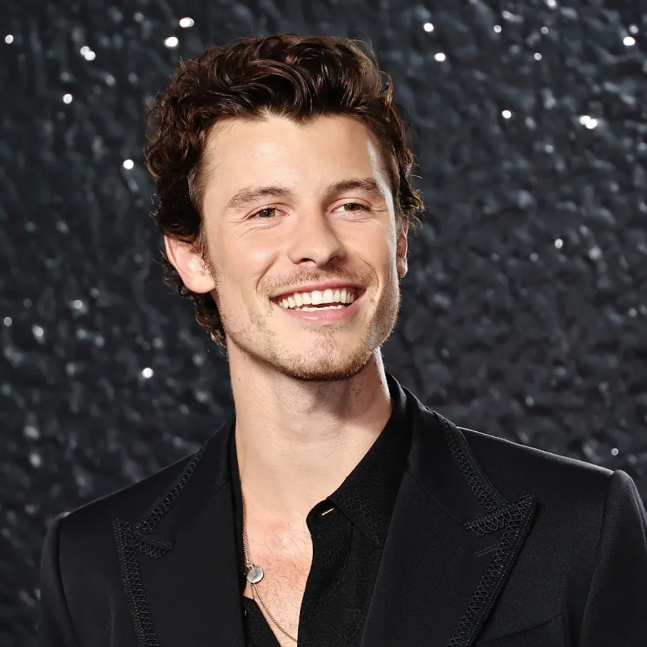 Shawn Mendes portrait