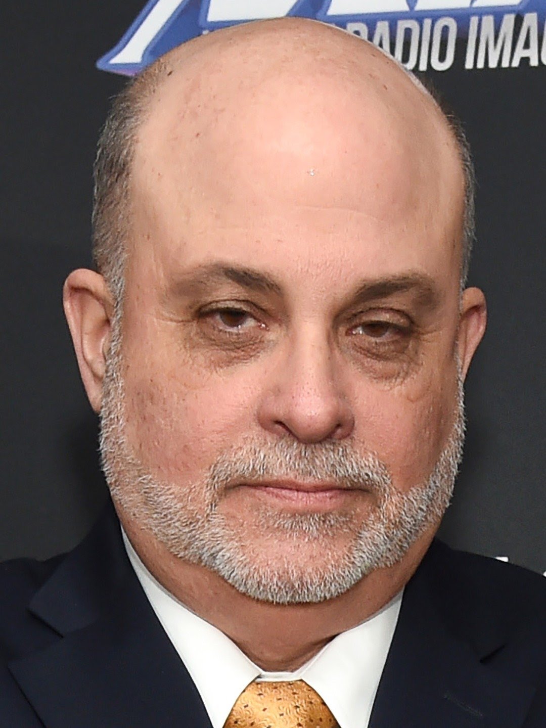 Mark Levin portrait