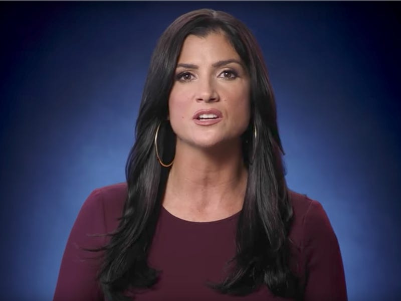 Dana Loesch portrait