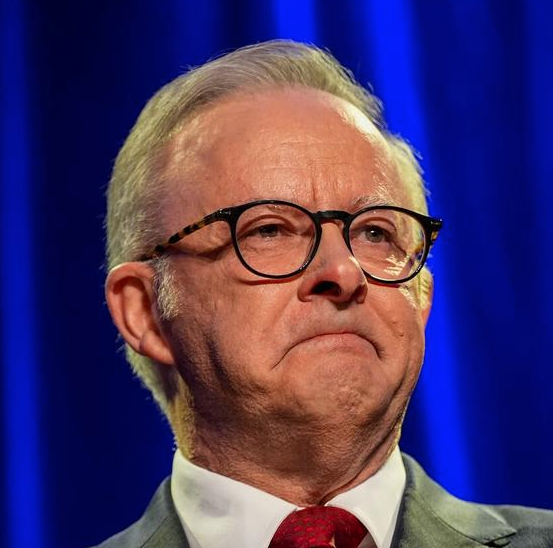 Anthony Albanese portrait