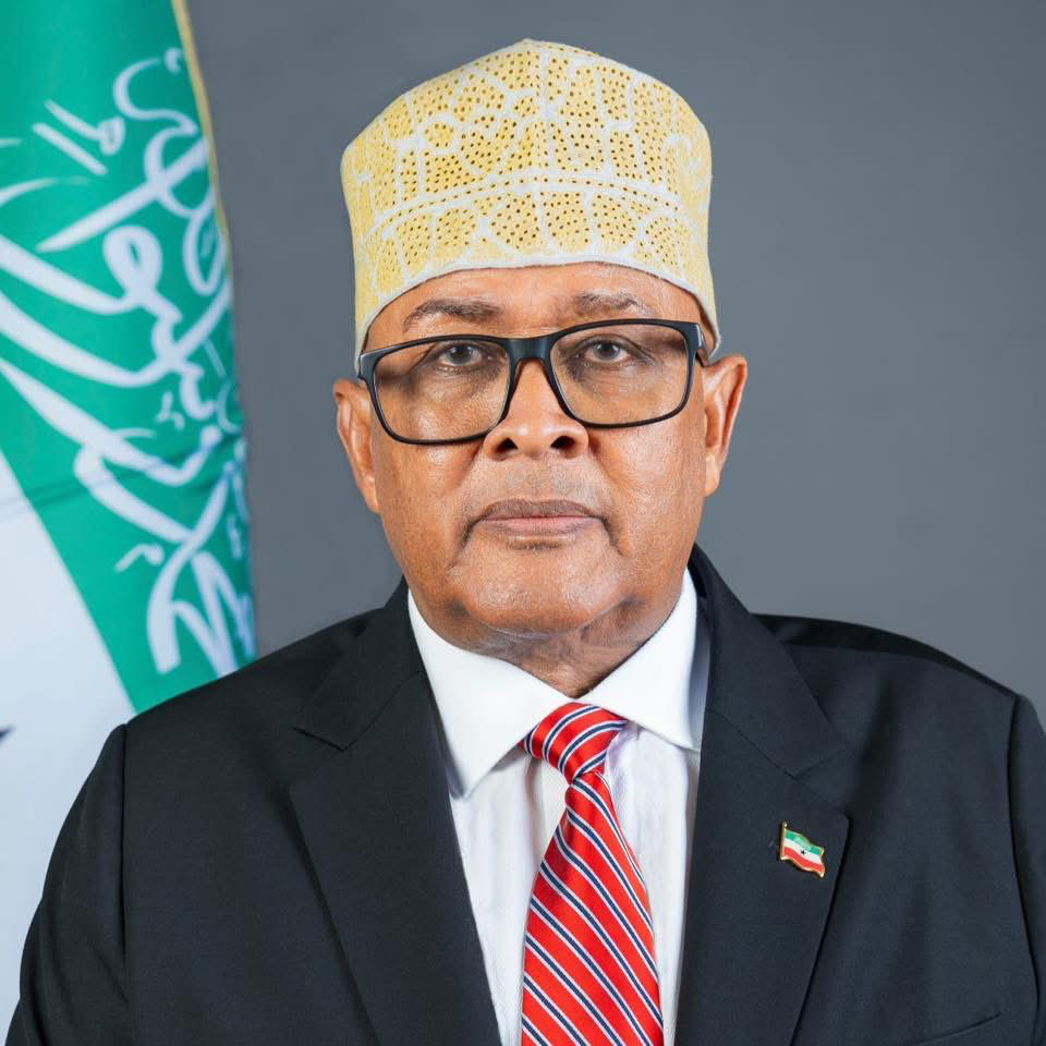 Abdirahman Mohamed Abdillahi (Abdirahman Cirro) portrait