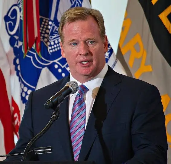 Roger Goodell portrait