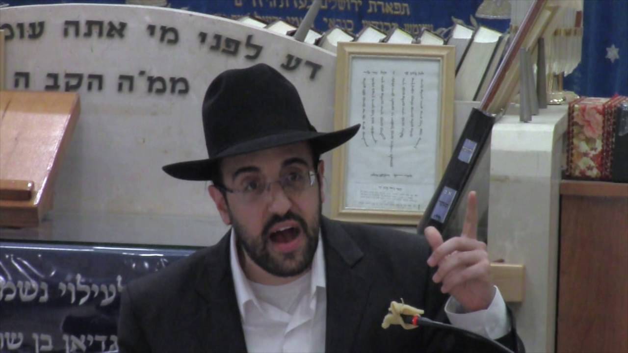 Meir Eliyahu portrait